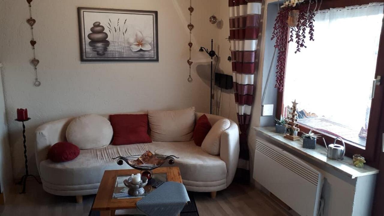 Haus Monika Daire Waldmünchen Dış mekan fotoğraf